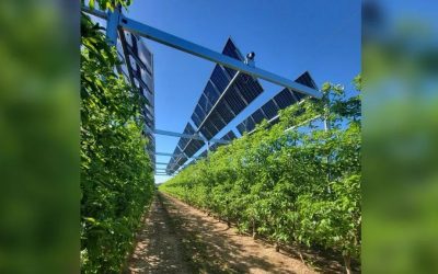 Building Brighter Futures Through Shared Vision