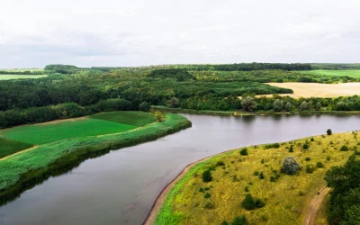 entrada que es h1 – SIn SIDEBAR