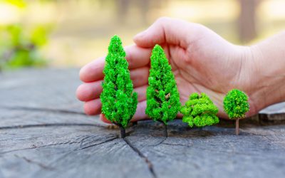 La restauración de los paisajes vegetales en el semiárido ibérico mediterráneo