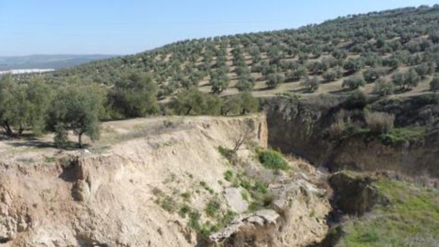 Control de cárcavas en zonas agrícolas