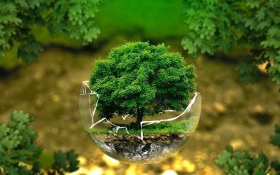 La Fundación Biodiversidad: la transición ecológica en España