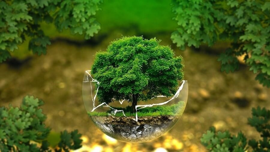 La Fundación Biodiversidad: la transición ecológica en España