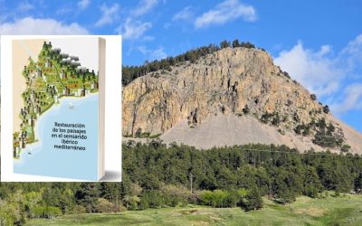 Índice y Autores en el libro de restauración de paisajes vegetales en el semiárido ibérico mediterráneo