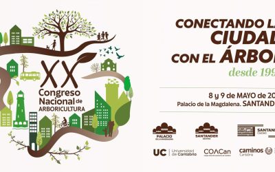 Conectando la ciudad con los árboles