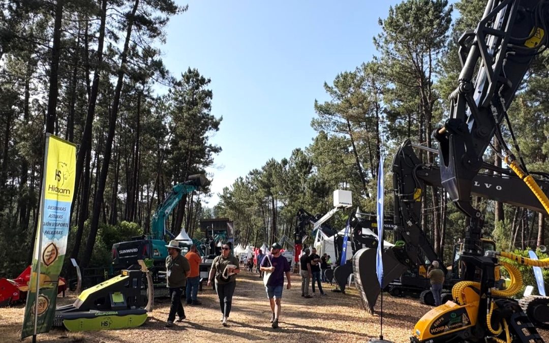 Francisco Carreño de #PEFC recibe el Carbayo de Oro-2025 en Asturforesta