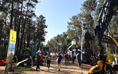 Francisco Carreño de #PEFC recibe el Carbayo de Oro-2025 en Asturforesta