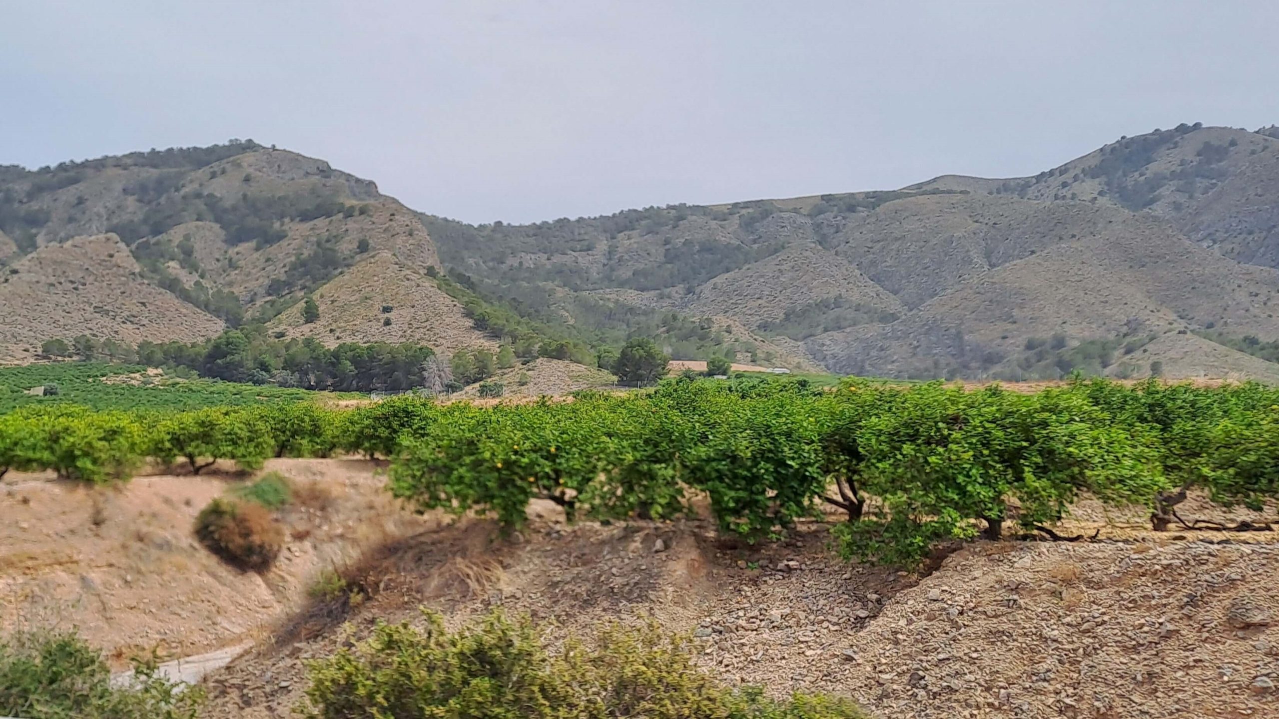 En los montes del Mediterráneo la desertificación es un gran problema