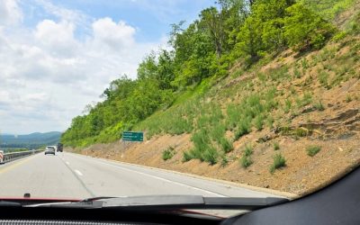 Estrategias para restablecer los ecosistemas