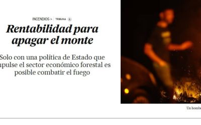 Una política de estado para mitigar el efecto de los incendios