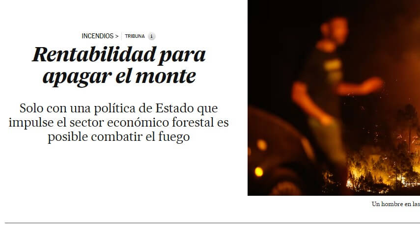 Una política de estado para mitigar el efecto de los incendios