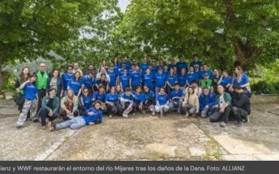 El río Mijares inicia una recuperación ecológica para mejorar la protección frente a inundaciones