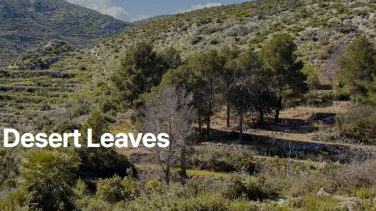 El Proyecto Mi Monte presenta resultados