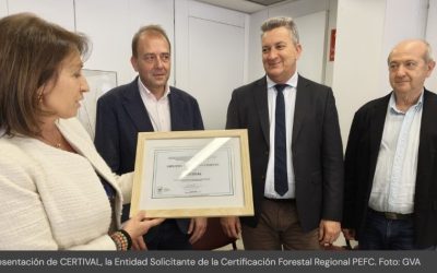 La nueva ley forestal valenciana apuesta por pagar la gestión sostenible de los montes