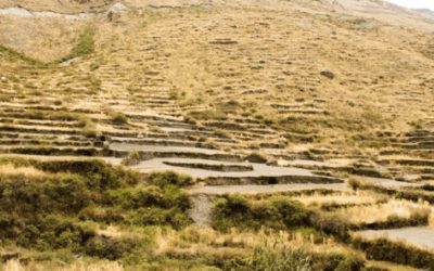 Los andenes de Cuyocuyo preservan biodiversidad y resiliencia climática en Perú