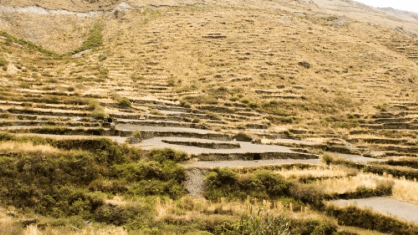 Los andenes de Cuyocuyo preservan biodiversidad y resiliencia climática en Perú