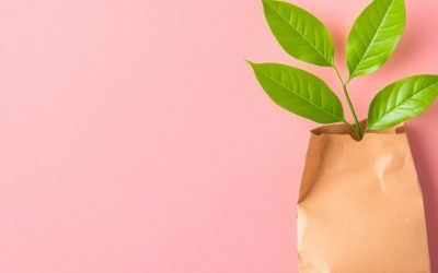Un estudio desmonta la relación entre la industria papelera y la deforestación