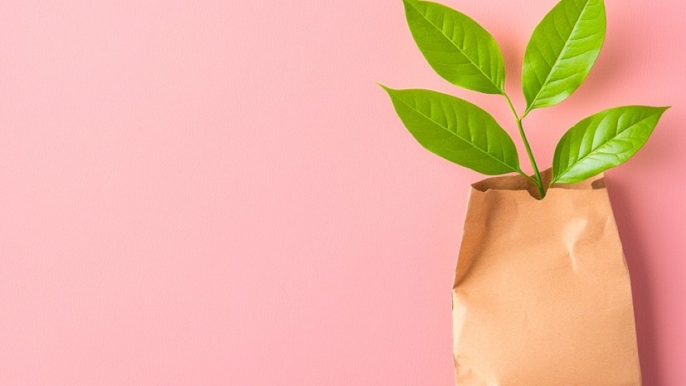 Un estudio desmonta la relación entre la industria papelera y la deforestación
