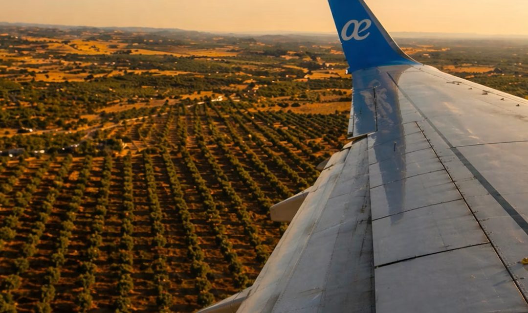 España avanza en combustibles sostenibles para la aviación sin depender del petróleo
