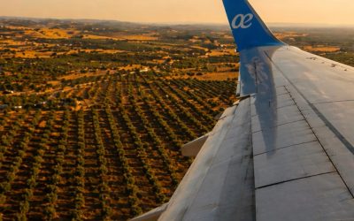 España avanza en combustibles sostenibles para la aviación sin depender del petróleo