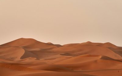 La Gran Muralla Verde africana transforma el desierto en un corredor de vida y biodiversidad
