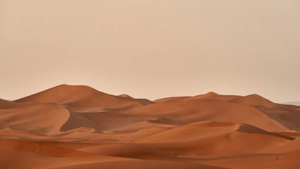 La Gran Muralla Verde africana transforma el desierto en un corredor de vida y biodiversidad