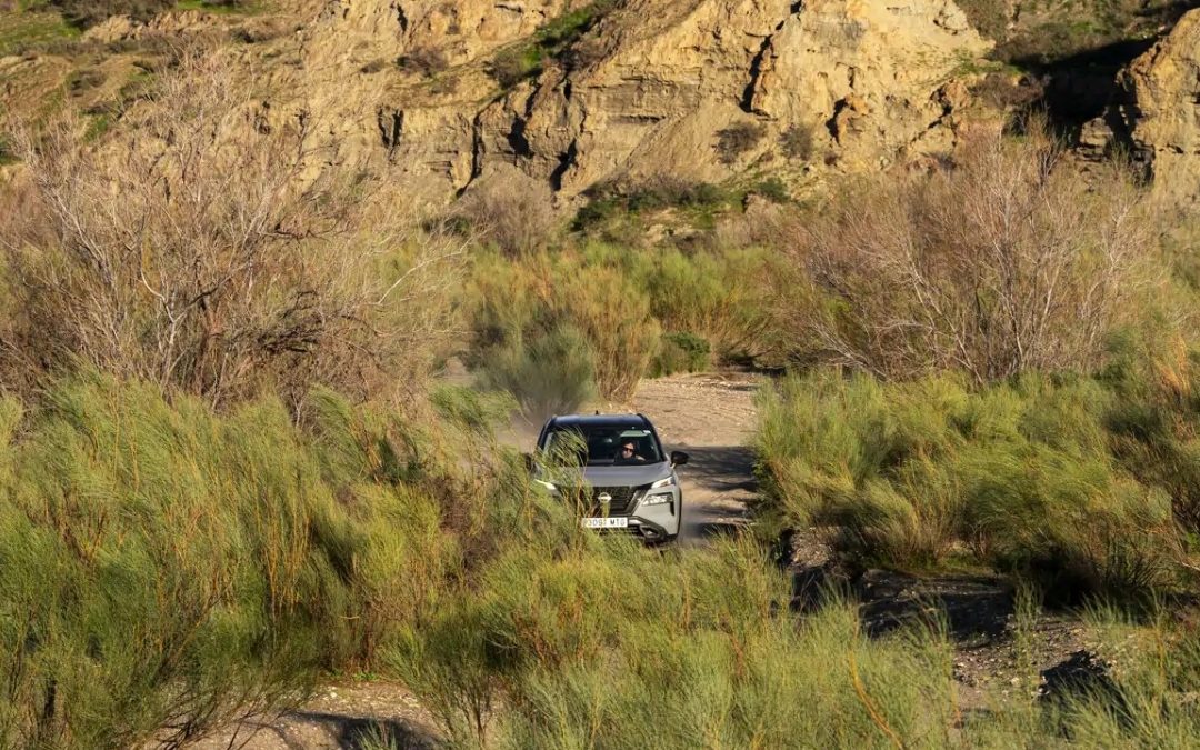 Un viaje por las rutas ocultas del agua en Almería