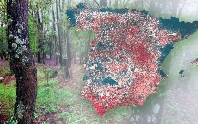 El agua invisible recupera los suelos y refuerza las reservas hídricas tras las lluvias