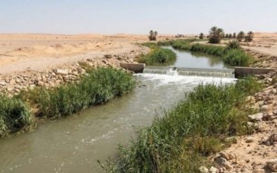 Un río artificial transforma el desierto saudí y genera nuevos ecosistemas
