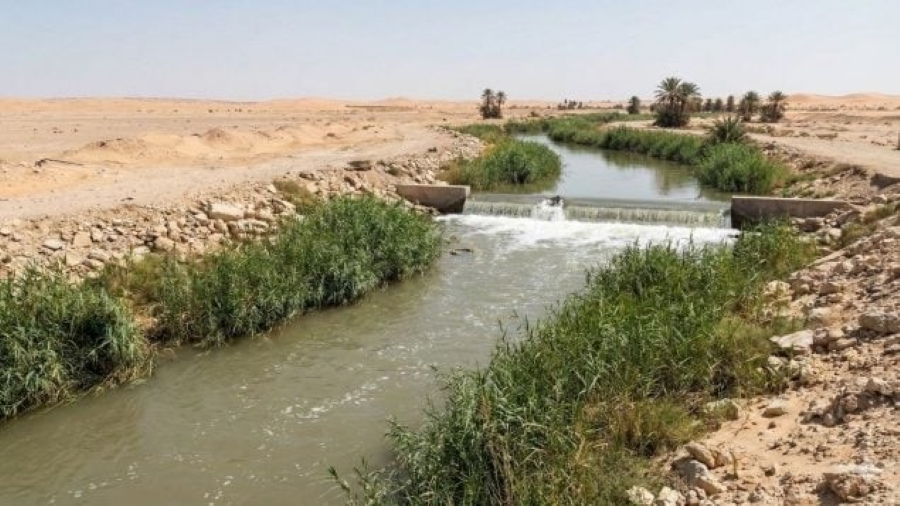 Un río artificial transforma el desierto saudí y genera nuevos ecosistemas