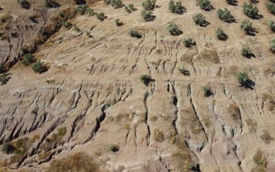 Un nuevo atlas impulsará la lucha contra la desertificación en España