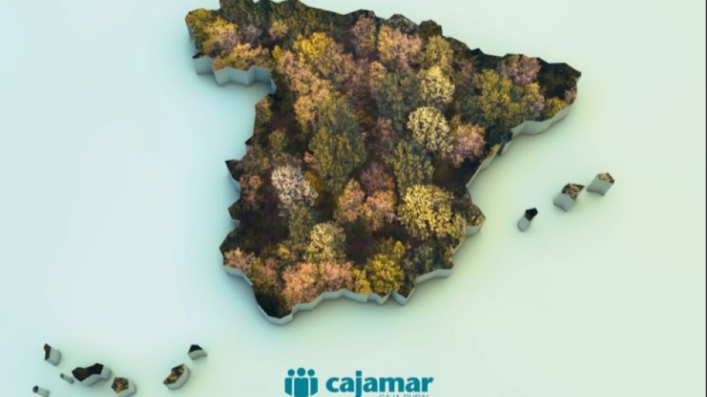 Cajamar presenta un libro de referencia sobre el futuro del sector forestal y la gestión del monte en España