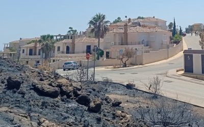 Ocho claves para mejorar la gestión del riesgo de incendios forestales
