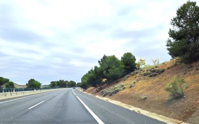 Bosques: algunas cifras