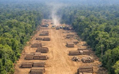 La deforestación amazónica aumenta el calor y reduce las lluvias