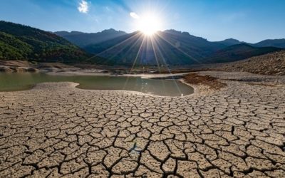 España refuerza su estrategia para frenar la desertificación y restaurar los suelos degradados