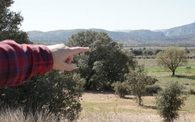 Jardines de nubes para recuperar las lluvias y reducir las tormentas extremas
