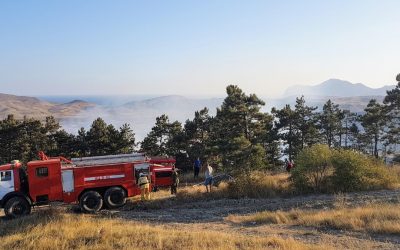 La gestión forestal es clave para reducir el impacto de los incendios extremos