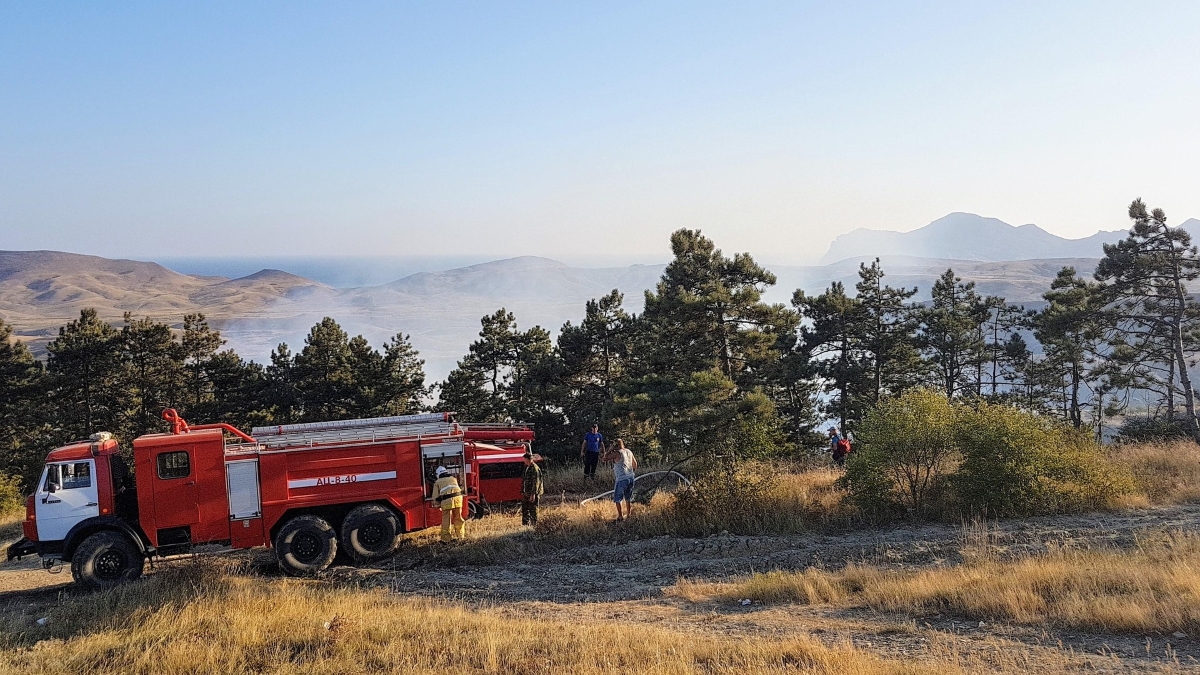 La gestión forestal es clave para reducir el impacto de los incendios extremos