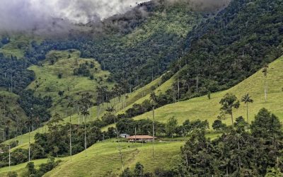 La adaptación urbana y forestal centra las propuestas frente al cambio climático