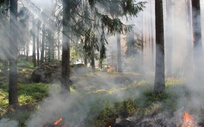 La adaptación gana protagonismo frente a la emergencia climática
