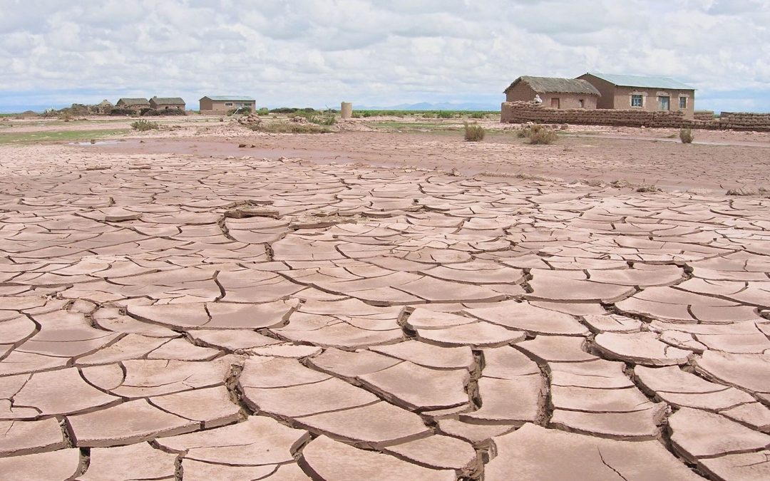 El MITECO concreta las acciones para aplicar la Estrategia Nacional de Lucha contra la Desertificación