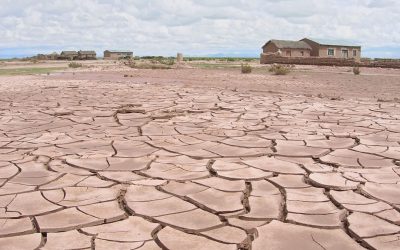 El MITECO concreta las acciones para aplicar la Estrategia Nacional de Lucha contra la Desertificación