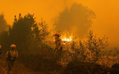 Propuestas de Desert Leaves para evitar los incendios