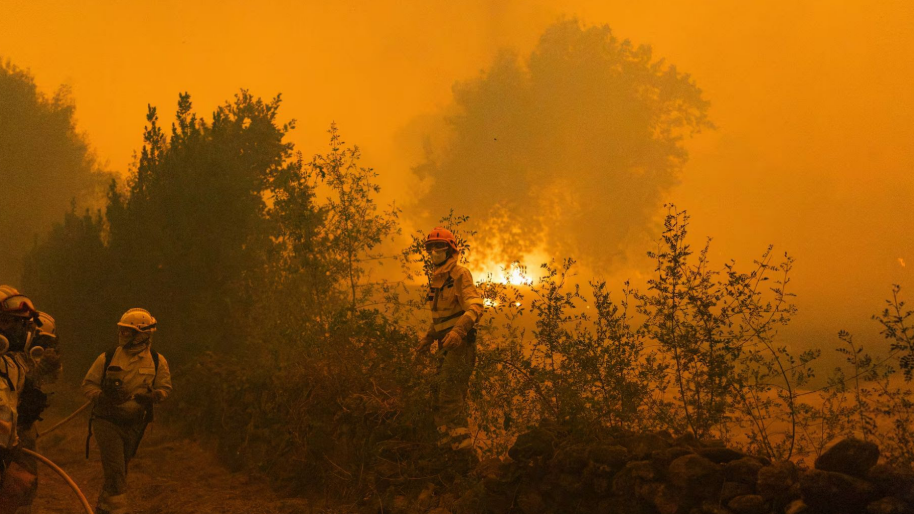 Propuestas de Desert Leaves para evitar los incendios