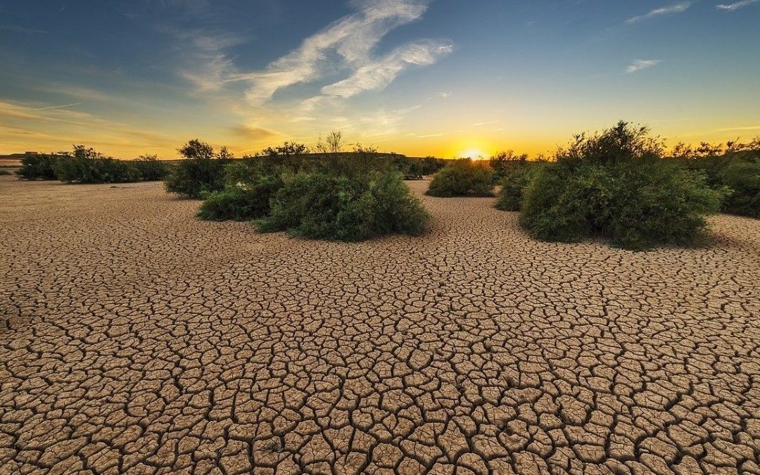 El MITECO actualiza la Estrategia Nacional de Lucha contra la Desertificación