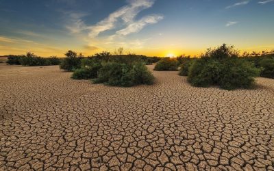 El MITECO actualiza la Estrategia Nacional de Lucha contra la Desertificación