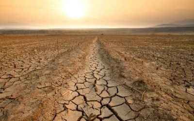El Tribunal de Cuentas Europeo reclama reforzar la lucha contra la desertificación en la UE