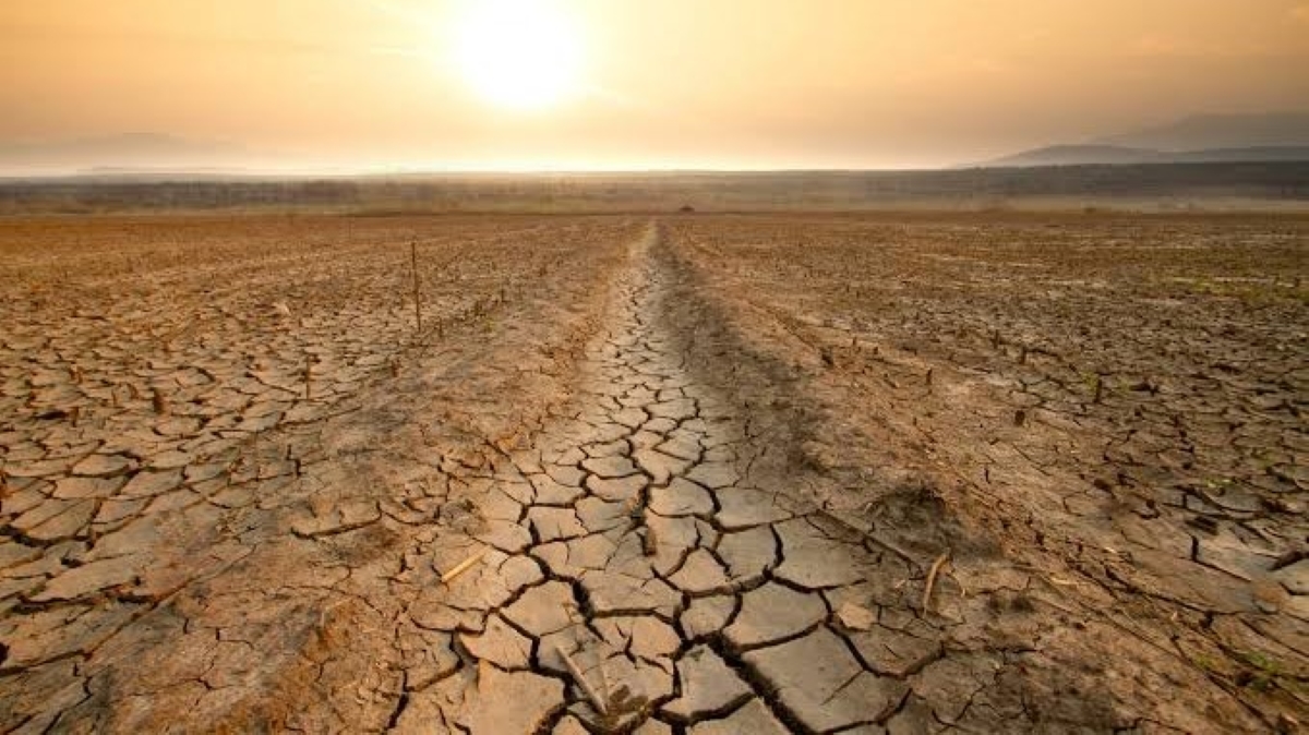 El Tribunal de Cuentas Europeo reclama reforzar la lucha contra la desertificación en la UE