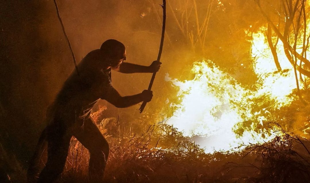 Los incendios forestales exigen gestionar el territorio y no solo reforzar la extinción