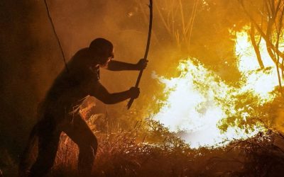 Los incendios forestales exigen gestionar el territorio y no solo reforzar la extinción